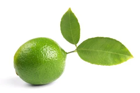 Lime Stock Photos