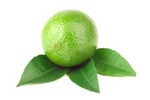 Lime Stock Photos