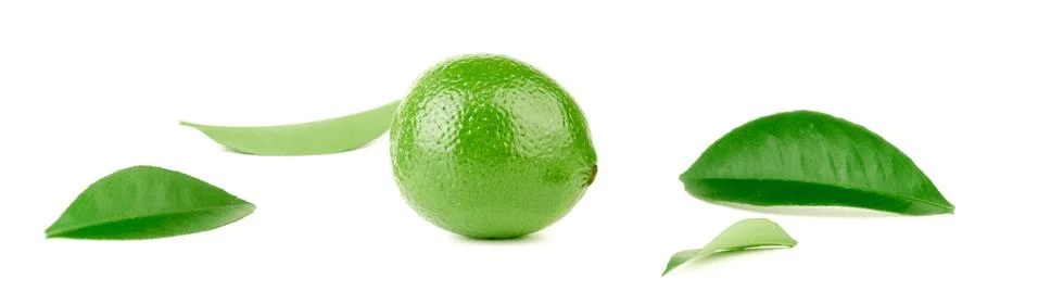 Lime Stock Photos
