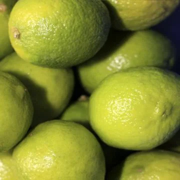 Lime Stock Photos