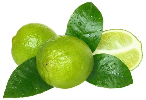Lime Stock Photos