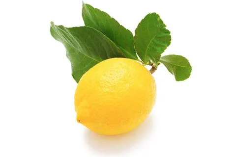Lime Stock Photos