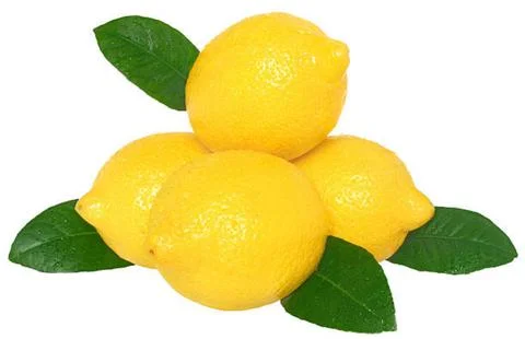 Lime Stock Photos