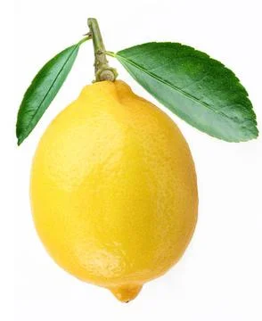 Lime Stock Photos