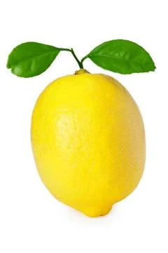 Lime Foto stock