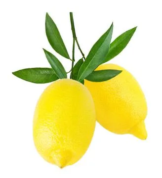 Lime Stock Photos