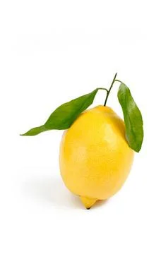 Lime Foto stock