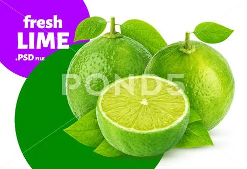 Lime  PSD Template