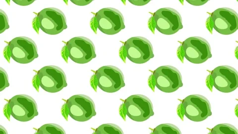 Lime seamless pattern, fresh green lime fruit stop motion animation on white 動画素材 337390199