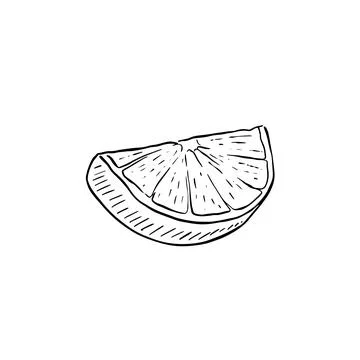 Lime segment illustration Stock Illustration