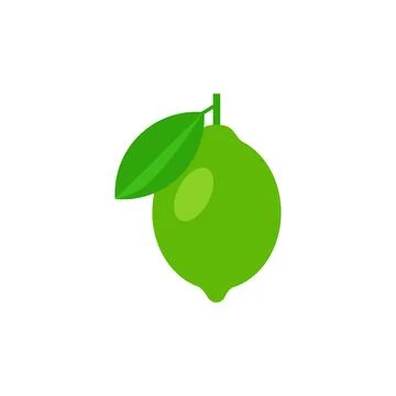 Lime simple vector illustration isolated on white background Stock Illustration