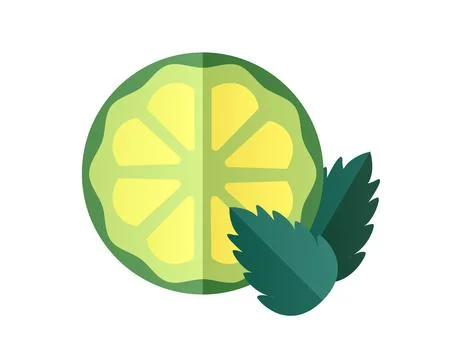 Lime Slice and Mint Leaves. Half Citrus Fruit and herb. Ingredients for tea.. Stock Illustration