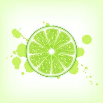 Lime slice Stock Illustration
