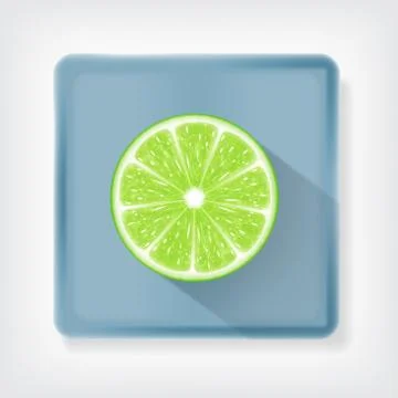 Lime slice Stock Illustration
