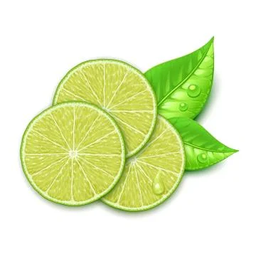 Lime slice Stock Illustration