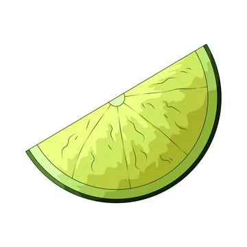 Lime slice illustration Ilustração Stock
