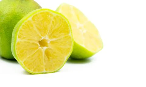Lime slice isolated on white background with clipping path. Natural source of 库存照片