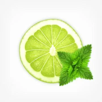 Lime slice with mint Stock Illustration