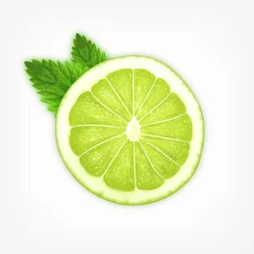 Lime slice with mint Stock Illustration
