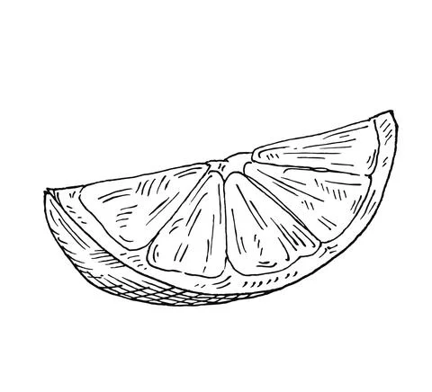 Lime slice. Vintage vector black hatching illustration Stockillustratie