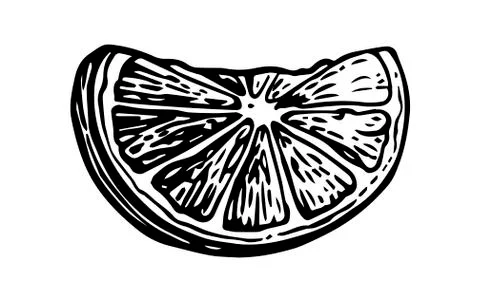 Lime slice. Vintage vector engraving illustration for label poster web. Stock-Illustration