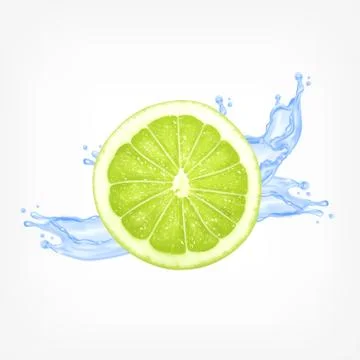 Lime slice with water Stock Illustration