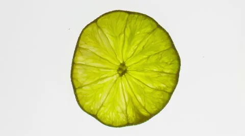 Lime slice on a white backdrop Stock Footage 65225453