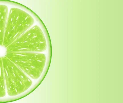 Lime slices Stock Illustration
