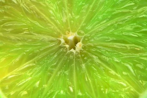 Lime slices Stock Photos