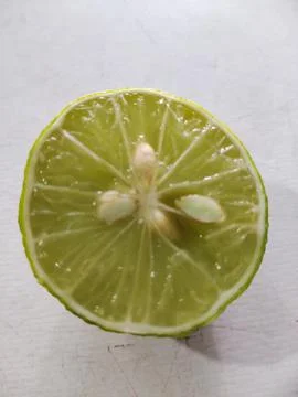 Lime slices Stock Photos