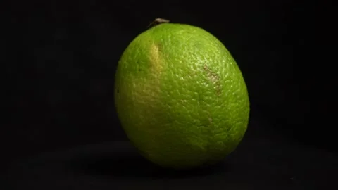 Lime slowly rotating on back background with water droplets in 4k Stock Footage 171609651