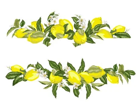 Lime template frame border wth citrus fruits and flowers on the branches 스톡 일러스트