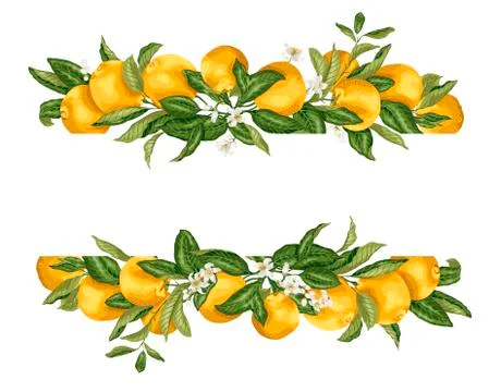 Lime template frame border wth citrus fruits and flowers on the branches Stock Illustration