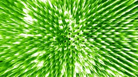 Lime Time 動画素材 13585931