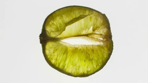 Lime  time lapse a slice of a lime drying over a number of days Stock Footage 65011235