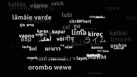 Lime Translated in 73 Worldwide Languages Endless Looping 3d Zooming Wordclou Video stock 145224086