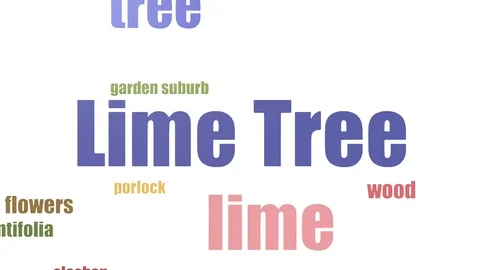 Lime Tree Wordcloud Animated On White Background Stock-Footage 107230269