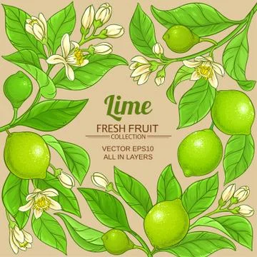Lime vector frame Stock Illustration