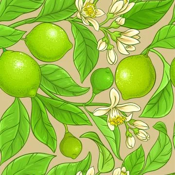 Lime vector pattern Stock Illustration