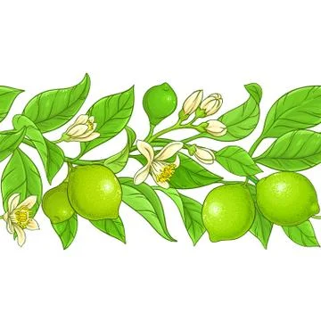 Lime vector pattern Stock Illustration