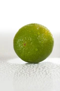 Lime with water drops Stock Photos
