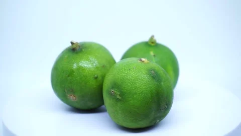 Lime on white background Stock Footage 219730376