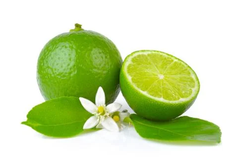 Lime on white background Stock Photos