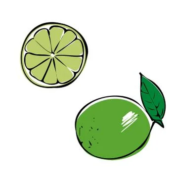 Lime, whole, half, slice and leaves. Colorful sketch collection of citrus fruits Stock Illustration
