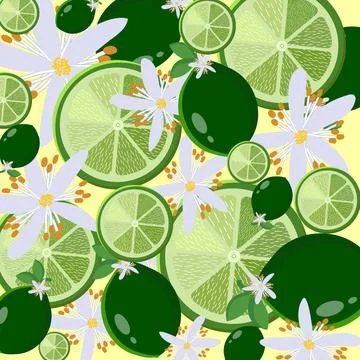 Limes and flowers single pattern 스톡 일러스트