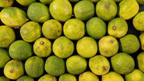 Limes close-up with selective focus Stock Footage 301088713
