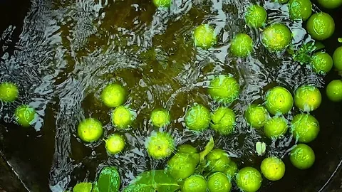Limes floating on Water Stock Footage 115335186