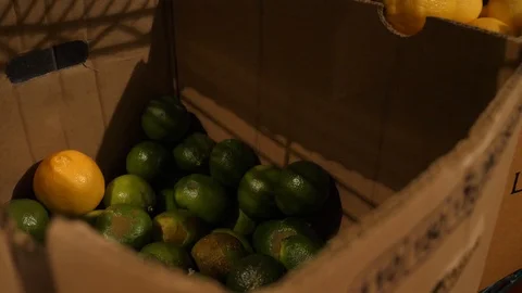 Limes lemons fruit vegetables in boxes storage freezer cold storage Stock-Footage 89373159