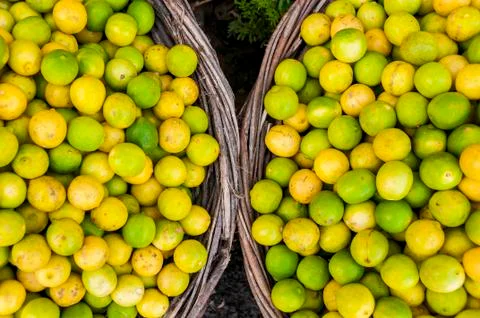Limes an lemons in two baskets Stock Photos