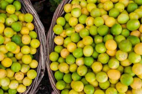 Limes an lemons in two baskets Stock Photos